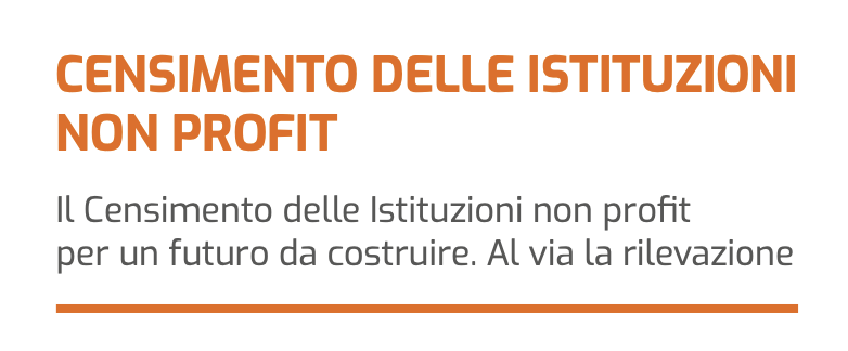 Presentazione del Censimento permanente delle Istituzioni non profit